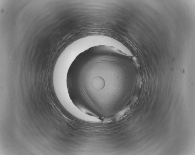 X0000085820764200704091632