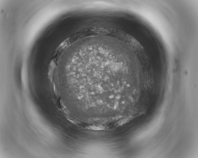 X0000085820765200704091632