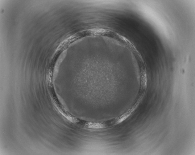 X0000085820766200704091632