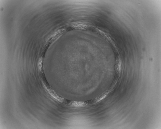 X0000085820767200704091632