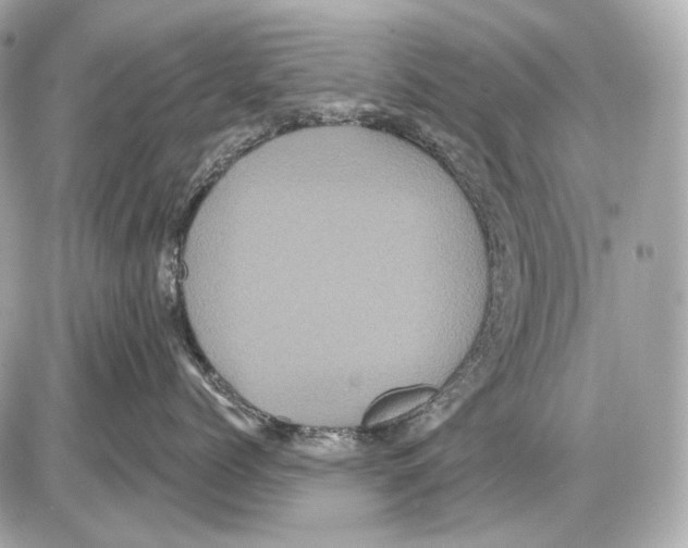 X0000085820768200704091632