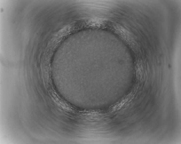 X0000085820769200704091631