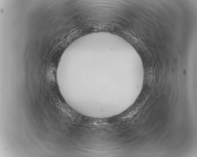 X0000085820770200704091631