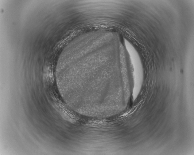 X0000085820771200704091631