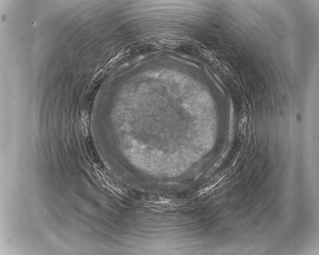 X0000085820772200704091631