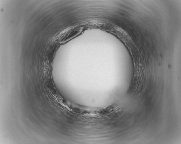 X0000085820773200704091631