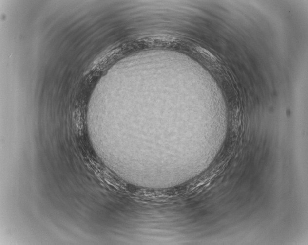 X0000085820774200704091631