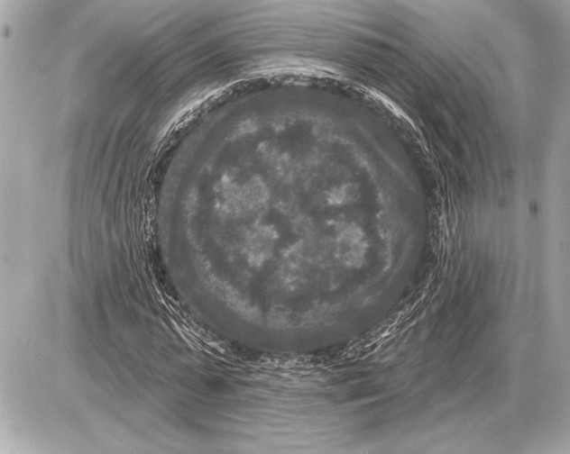 X0000085820775200704091631