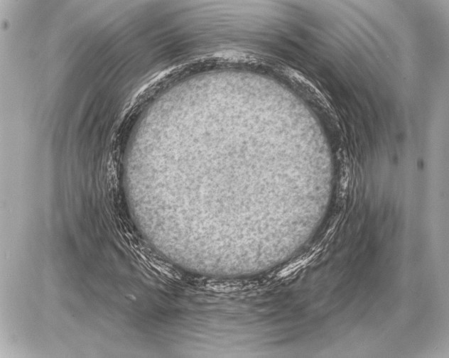 X0000085820776200704091631