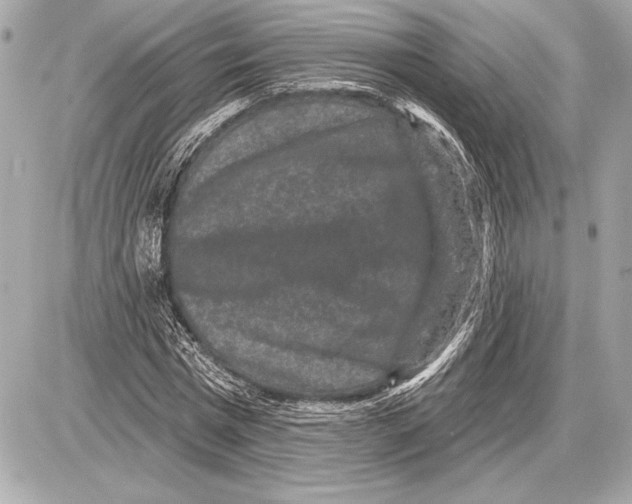 X0000085820777200704091631