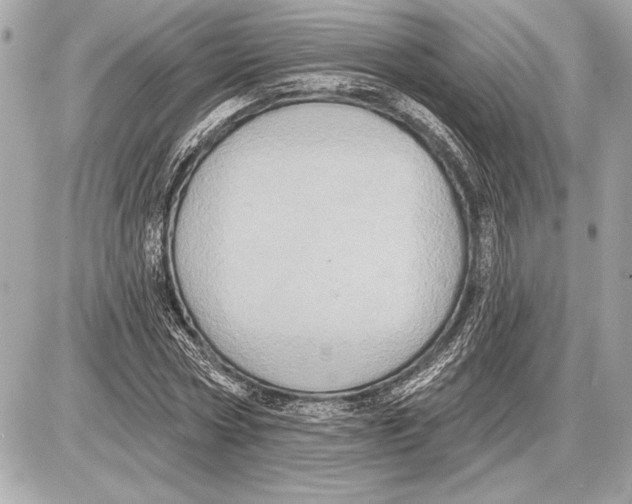 X0000085820778200704091631