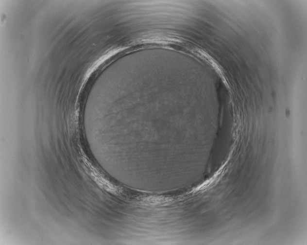 X0000085820779200704091631