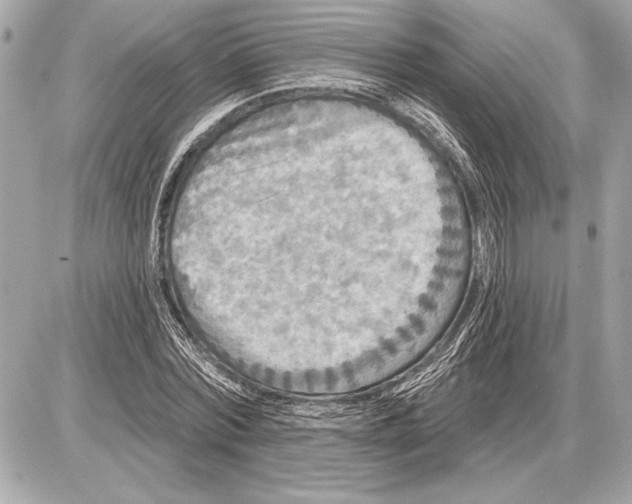 X0000085820780200704091631