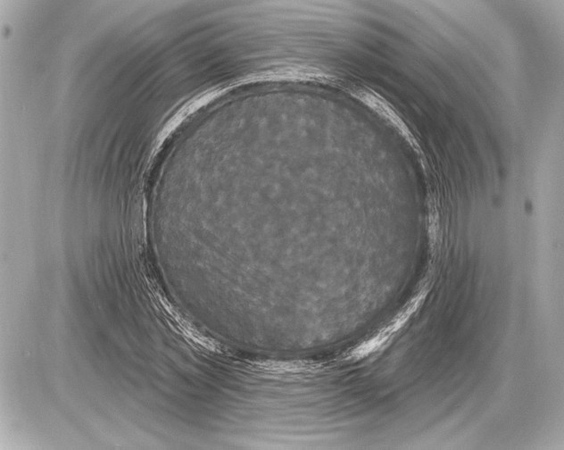 X0000085820781200704091631