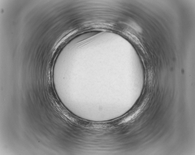 X0000085820782200704091631