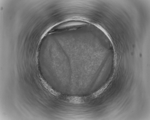 X0000085820783200704091631