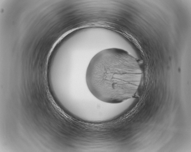 X0000085820784200704091631