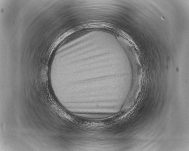 X0000085820786200704091631