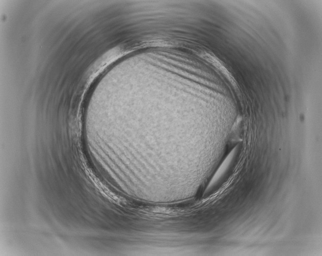 X0000085820787200704091631