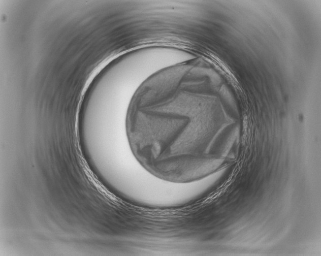 X0000085820788200704091631