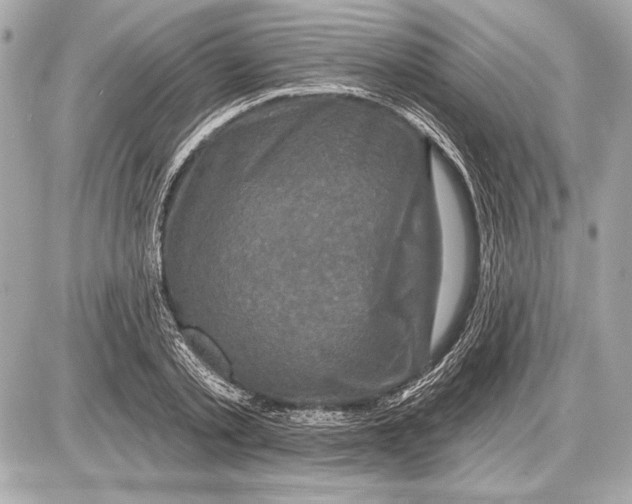 X0000085820789200704091631