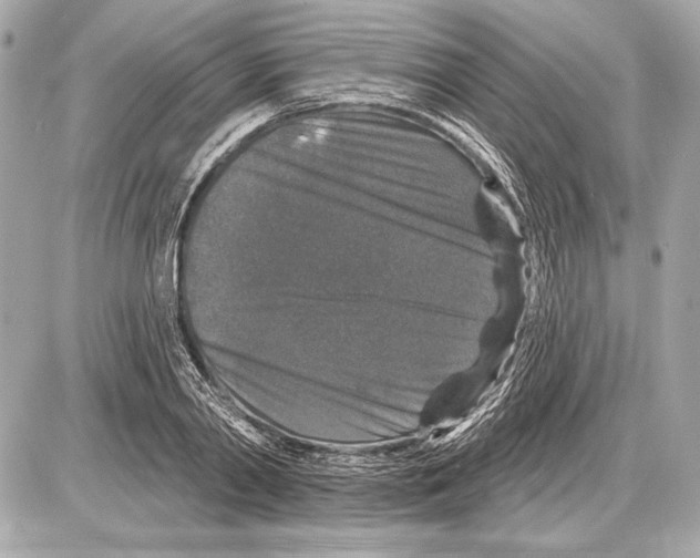 X0000085820790200704091631