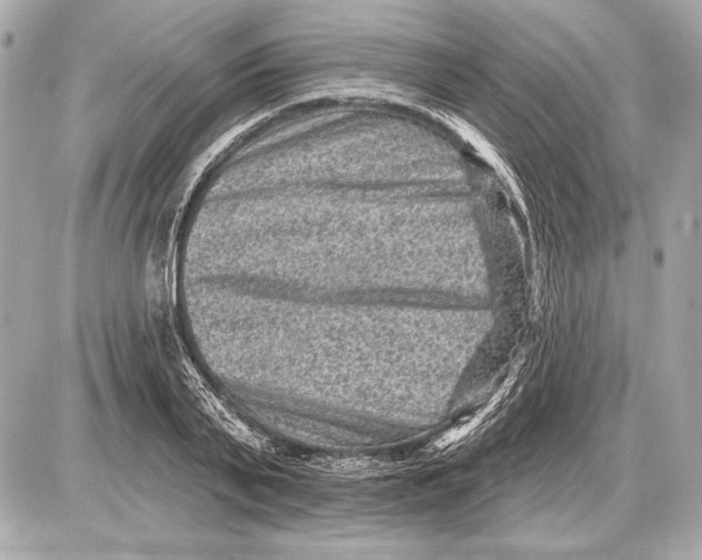 X0000085820791200704091631