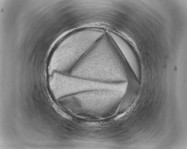 X0000085820792200704091631