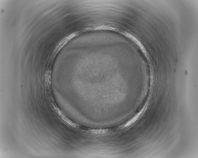 X0000085820793200704091631