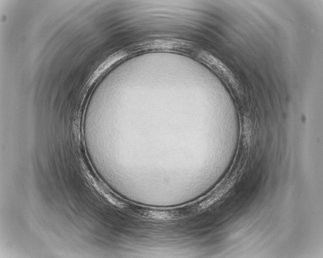 X0000085820794200704091631