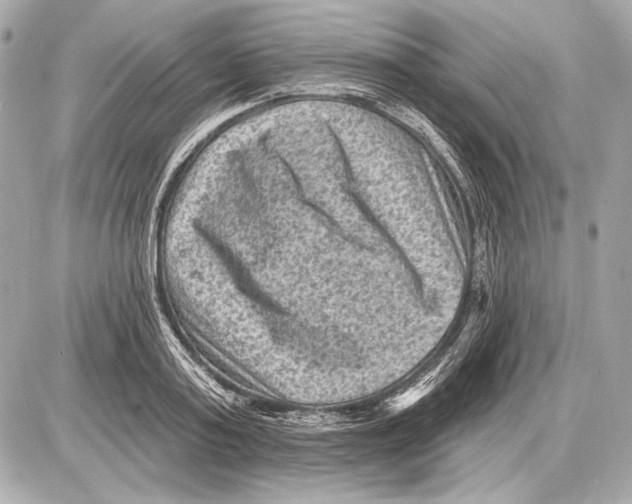 X0000085820795200704091631