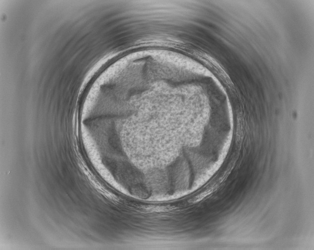 X0000085820796200704091631