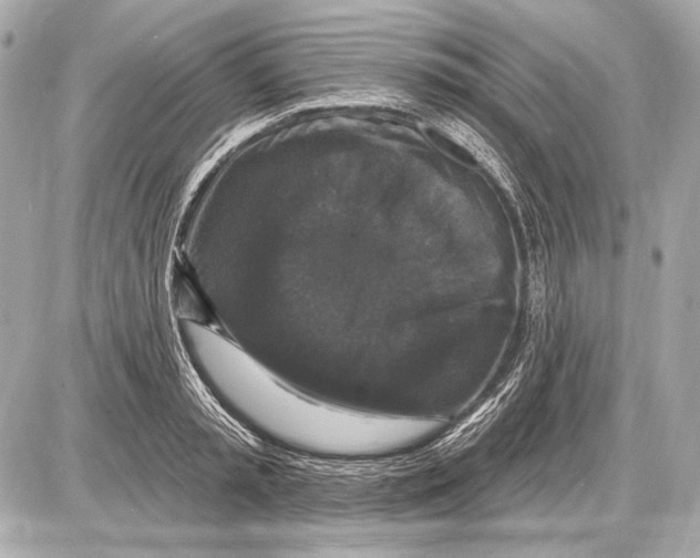 X0000085820797200704091631