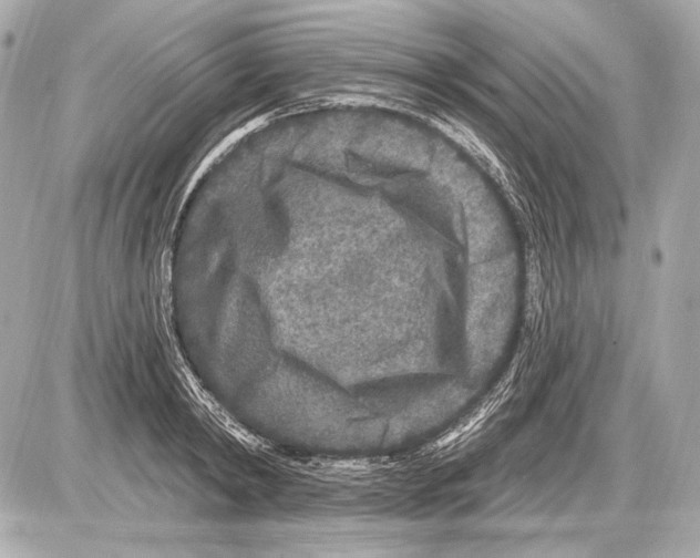 X0000085820798200704091631