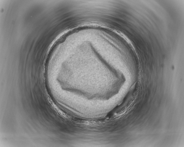 X0000085820799200704091631