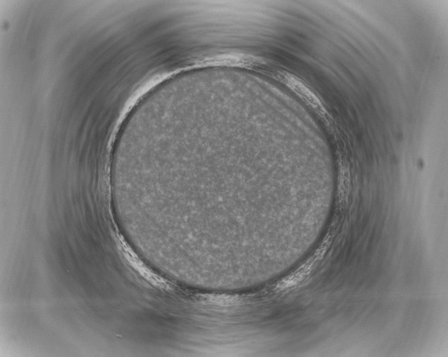 X0000085820800200704091631