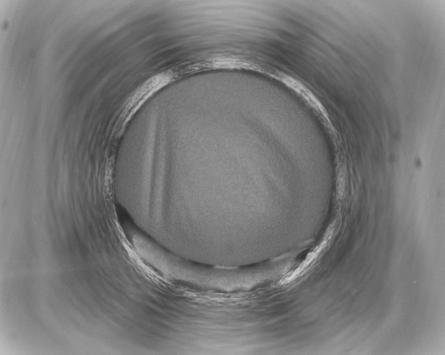 X0000085820801200704091631