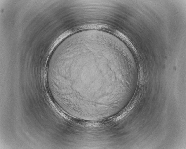 X0000085820802200704091631