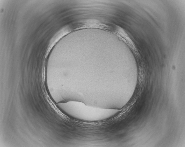 X0000085820804200704091631