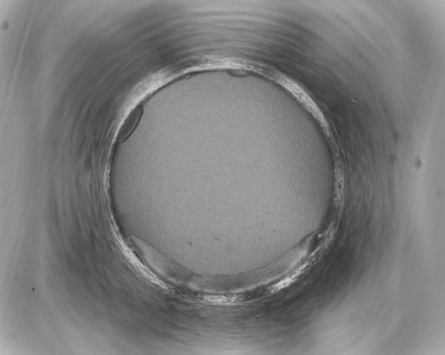 X0000085820805200704091631