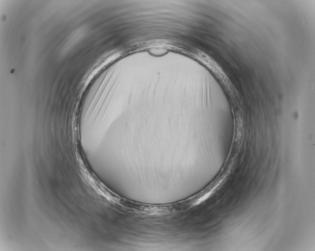 X0000085820806200704091631