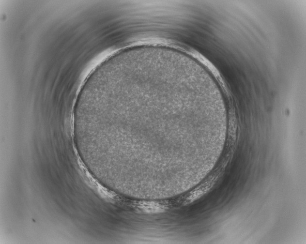 X0000085820807200704091631