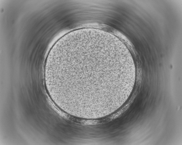 X0000085820808200704091631