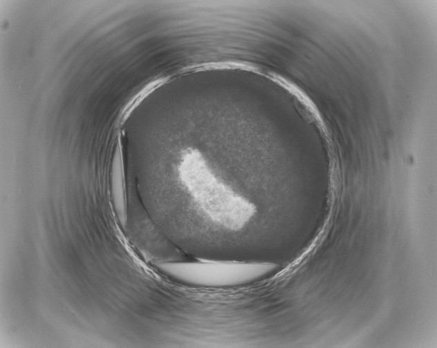 X0000085820809200704091631