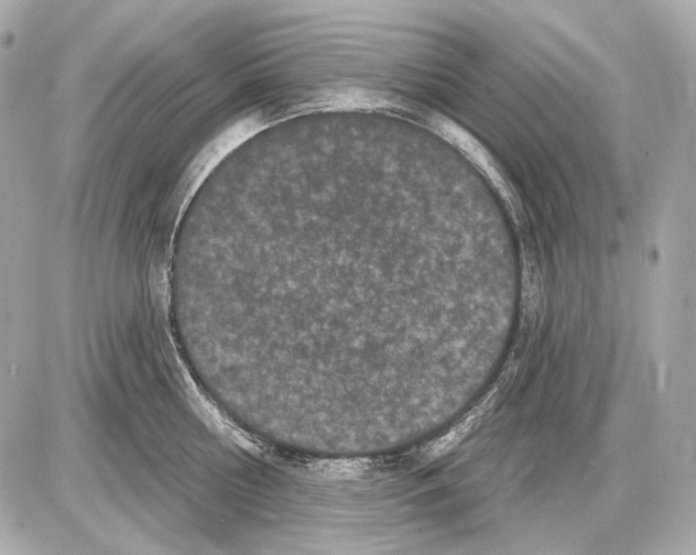 X0000085820810200704091630