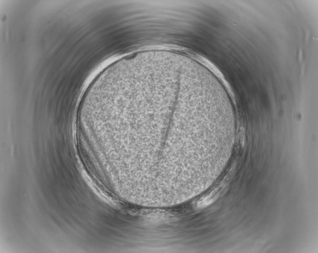 X0000085820811200704091630