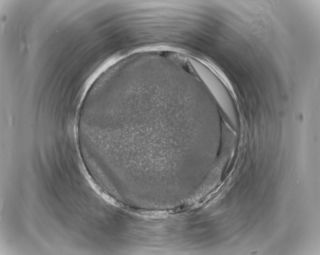 X0000085820813200704091630