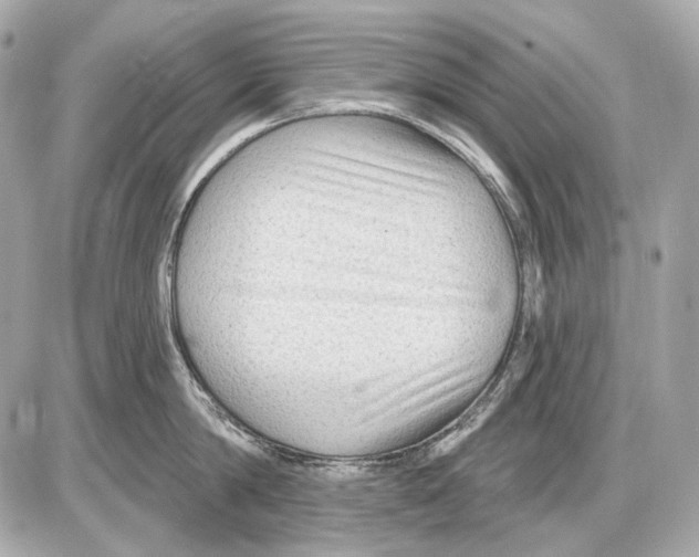 X0000085820814200704091630