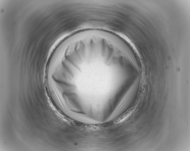 X0000085820815200704091630