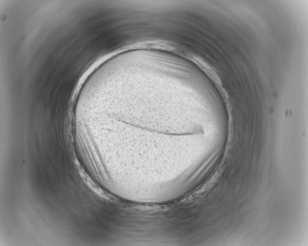 X0000085820816200704091630